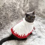 Naruto Seventh Generation Ninja Cat | Naruto custom for cat - Image 4