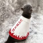 Naruto Seventh Generation Ninja Cat | Naruto custom for cat - Image 5
